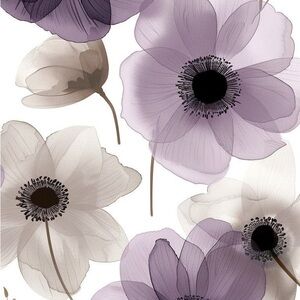 Meet your Posher, Corrine